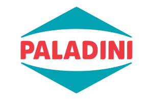 paladinilogo